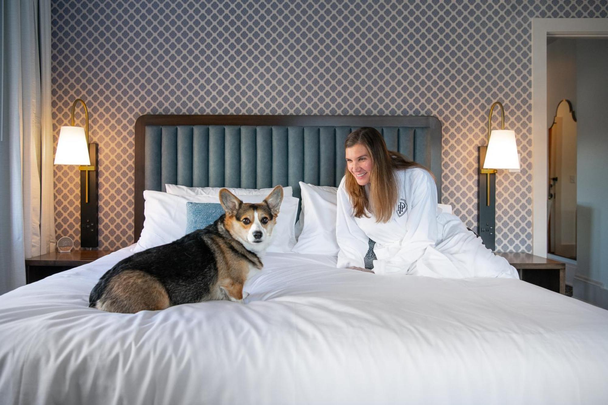 Hotel Petersburg, Tapestry Collection By Hilton מראה חיצוני תמונה